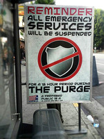 The Purge: Anarchy - feature film